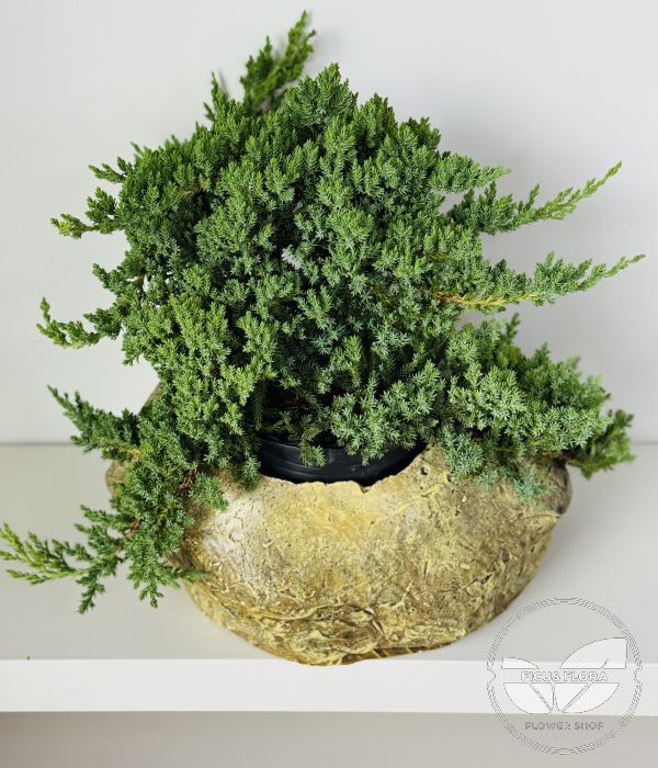 Decorative gray stone pot