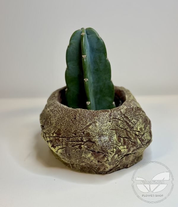 Small decorative concrete pot