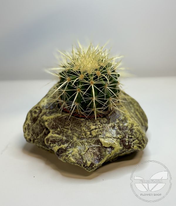 Small decorative concrete flower pot