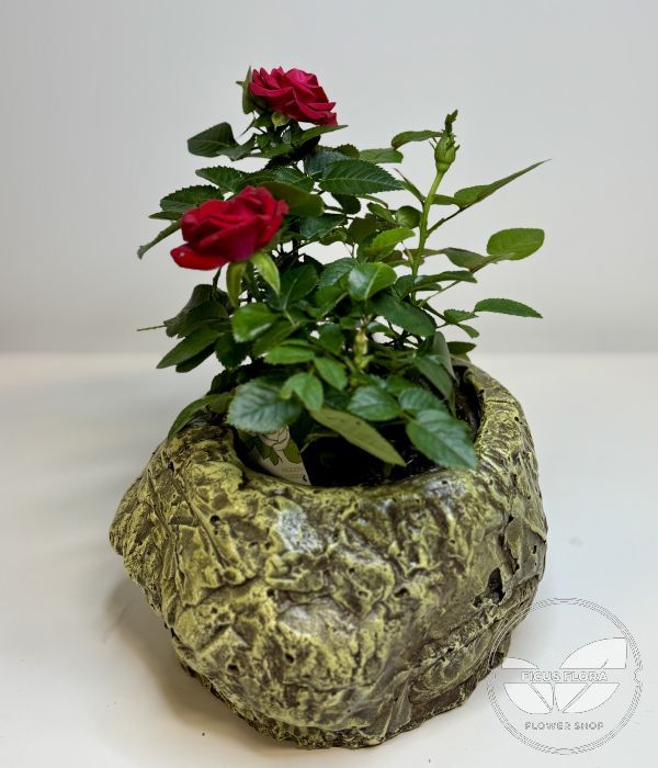 Decorative concrete pot with gold tones