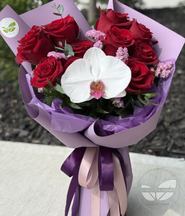 Orchid Romance