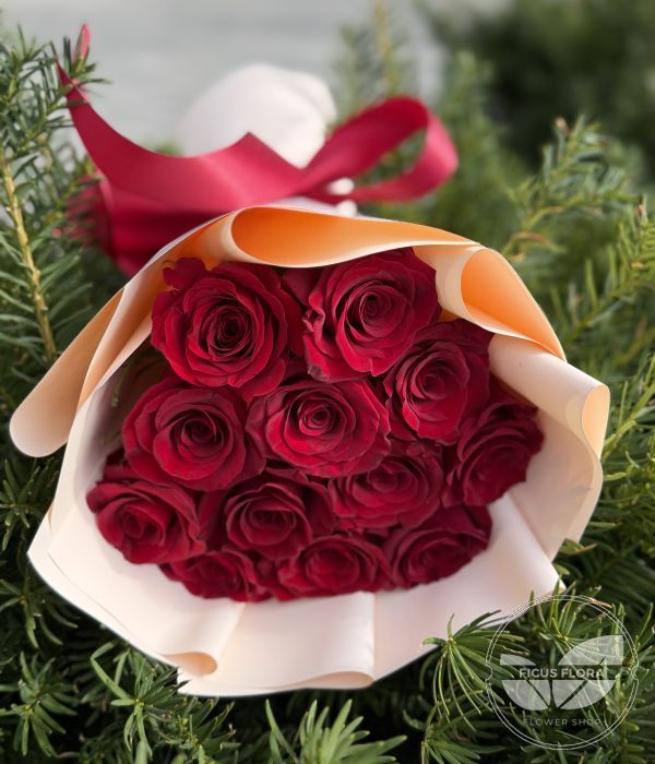 Romantic Scarlet Roses