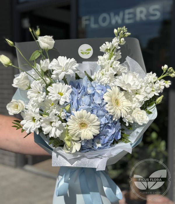 Blue & White Harmony