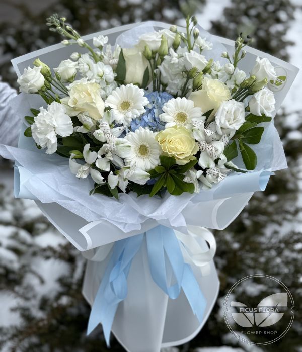 Blue & White Harmony