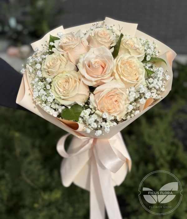 Peach Velvet Roses