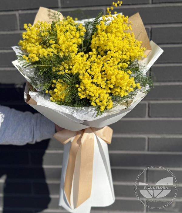 Golden Mimosa Sunshine