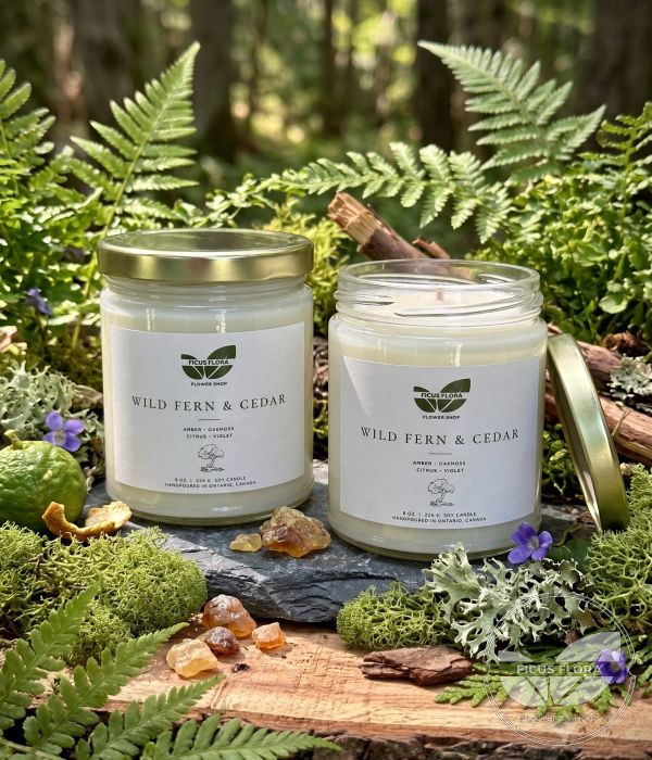 Wild Fern & Cedar Hand-Poured Soy Candle (8 oz)