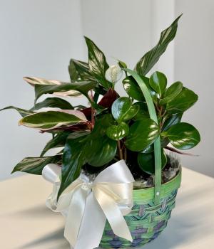 Nature's Harmony. Fresh flower bouquets in Toronto