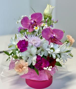 Orchid Grace. Fresh flower bouquets in Toronto