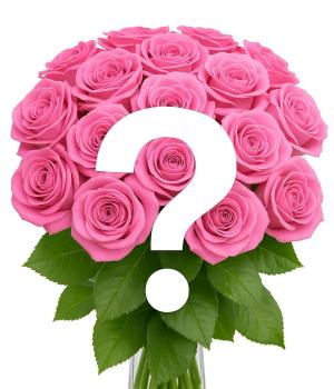 Price is for 1 rose. Create Your Own Bouquet Pink Roses. Fresh flower bouquets in Toronto
