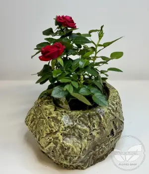 Decorative concrete pot with gold tones. Fresh flower bouquets in Toronto