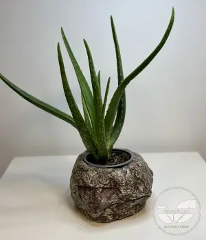 Gray concrete decorative planter. Fresh flower bouquets in Toronto
