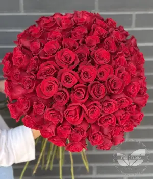 Endless Love – 100 Red Roses. Fresh flower bouquets in Toronto