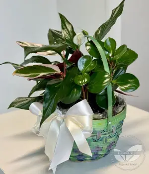 Nature's Harmony. Fresh flower bouquets in Toronto