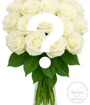 Price is for 1 rose. Create Your Own Bouquet White Roses. Fresh flower bouquets in Toronto | Ficus Flora