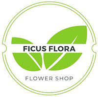 Ficus Flora Flower shop, Toronto, North York