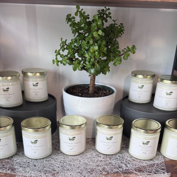The Art of Atmosphere: Introducing the Ficus Flora Hand-Poured Soy Candle Collection